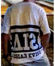 EVISU | Tシャツ/カットソー