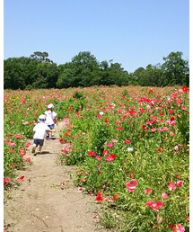 おでかけ❤ | その他