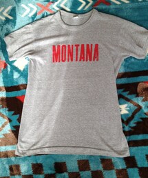 Champion | 古着 80's トリコタグ 霜降りTシャツ(Tシャツ/カットソー)