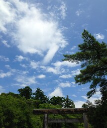 鳥居 | 青空(その他)