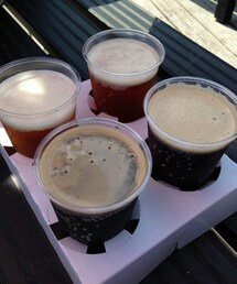ビール | 飲み比べセット(福袋/福箱)