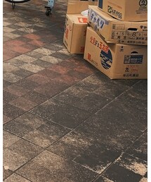 BOHEMIANS | その他パンツ