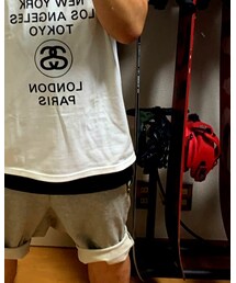 STUSSY | Tシャツ/カットソー