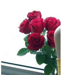 Rouge royale | その他