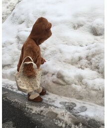 🐻 | その他