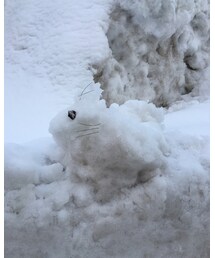 🐰 | なんとなくウサギ…🐇(その他)