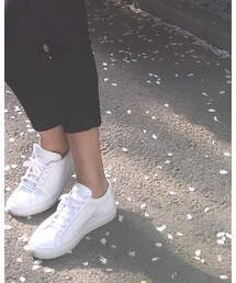 COMMON PROJECTS | スニーカー