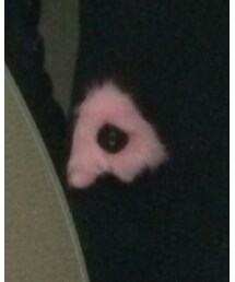 mercibeaucoup, | ファッション雑貨