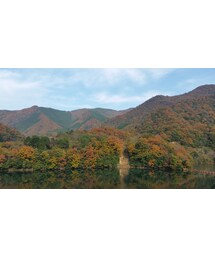 大自然が織り成す秋の色 | その他