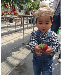 🍓🍓🍓 | その他