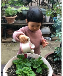 水やり | その他