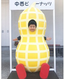 中西ピーナッツ | その他