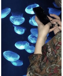 古着 | トップス