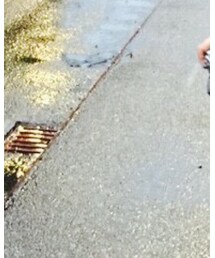 PENDLETON | ウールシャツ(シャツ/ブラウス)