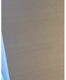 N4 | シャツ/ブラウス