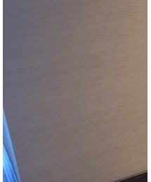 s.h. | シャツ/ブラウス