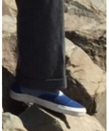 VANS | スニーカー