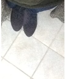 Luz Llena | パンツ