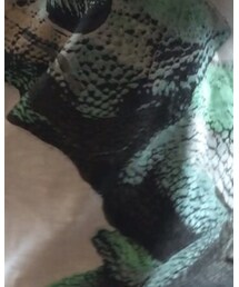 next | Tシャツ/カットソー