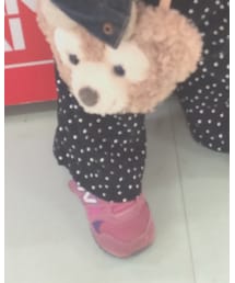 Birthday | パンツ