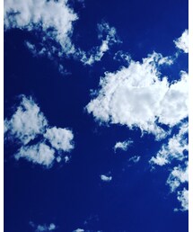 いい天気。散歩日和。 | その他