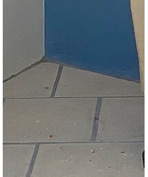 thevirgins | ハンドバッグ