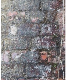 UNIQLO | ニット/セーター