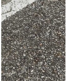 Birthday | パンツ