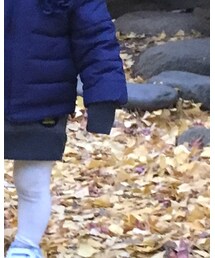 junk store | ワンピース