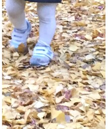 NEW BALANCE | スニーカー