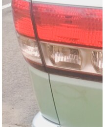 しまむら | Tシャツ/カットソー