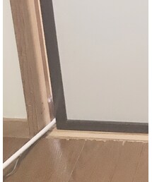 Birthday | レギンス/スパッツ