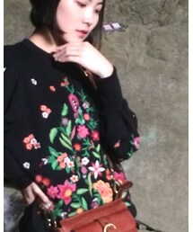 ZARA | トップス