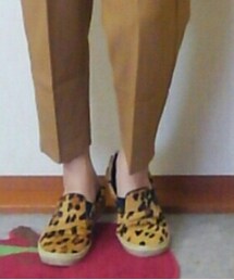 STEAVE MADDEN | スニーカー