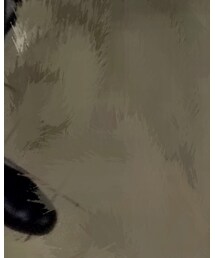 SHIPS JET BLUE | シャツ/ブラウス