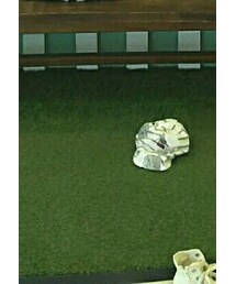 Handmade | キャップ