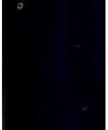 RADIALL | ニット/セーター