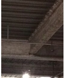 Borsalino | ハット