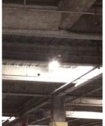 TOMMY HILFIGER | シャツ/ブラウス