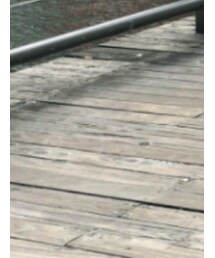 LACOSTE | スニーカー