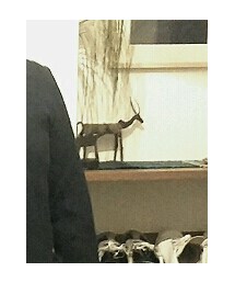 kolor | テーラードジャケット