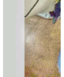 Samantha Thavasa | バッグ