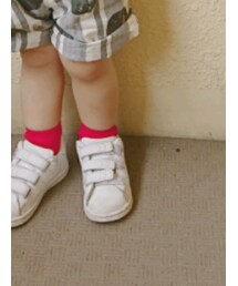 韓国子供服 | ソックス/靴下