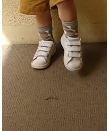 BRANSHES | ソックス/靴下