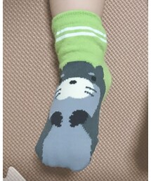 お土産 | ソックス/靴下