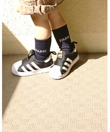 BRANSHES | ソックス/靴下