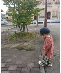 🍎気になる気になる | その他