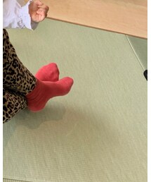 靴下屋 | ソックス/靴下