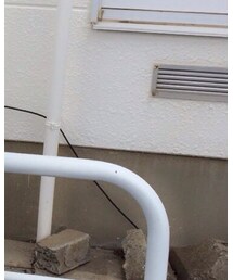 WEGO | キャミソール