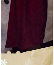 AG by aquagirl | スカート